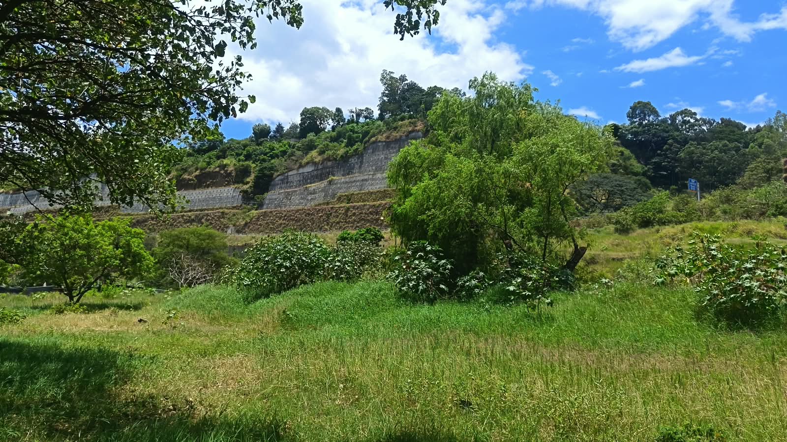 Terreno de 17,500 varas² con tres accesos reportados junto a la VAS, zona 21